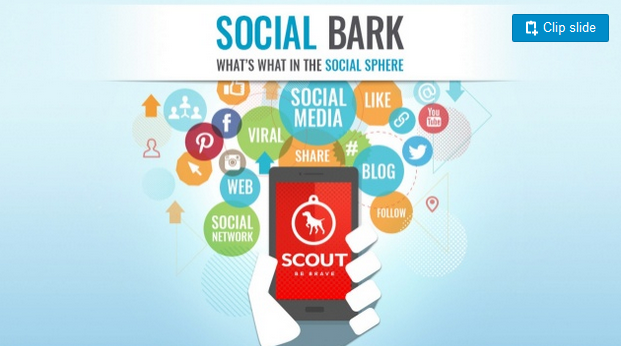SCOUT's Social Bark