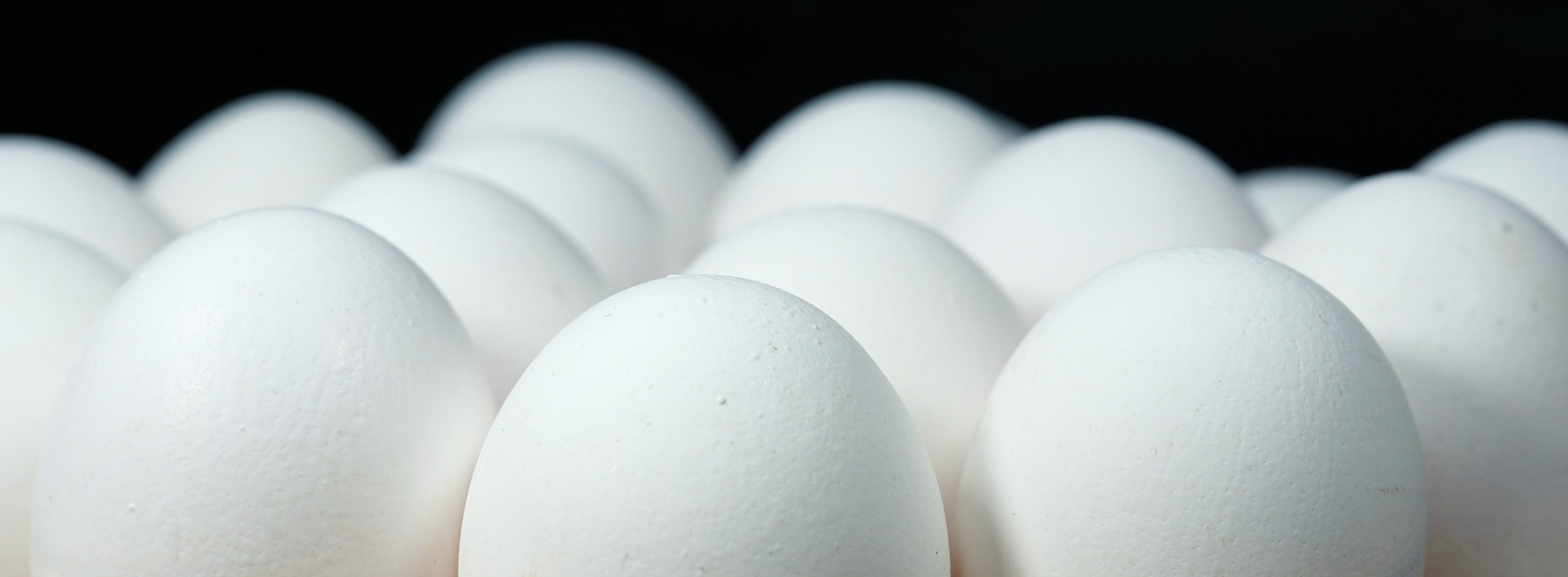 Commitments to a cage-free future pinch egg producers in the present