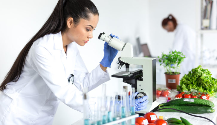 Female microbiologist using microscope in laboratory , examining vegetables.
