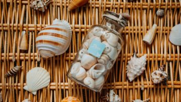 collection of seashells for article on math manipulatives with cultural connections