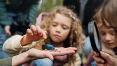 Young girl in group of students gingerly touching a big blue insect of some sort ont he teacher's palm for article on play-based education